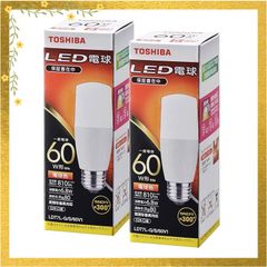 未使用 TOSHIBA 東芝 LED電球 LDT11L-G/S/V1 3個セット - メルカリ