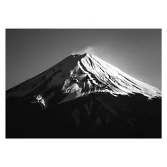 【B1サイズ（約73x103cm）】【lh-poster-4226】和風　金の富士 金運 ゴールド 山 富士山 ふじさん 横ポスター ご利益 運気 グッズ アイテム 開運 インテリア  レトロ