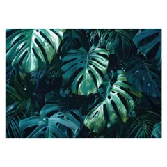 【B4サイズ(約25x36cm)】【lh-poster-4296】モンステラポスター トロピカル 熱帯植物 ハワイアン ボルシギアナ デリシオーサ アダンソニー 葉っぱ グリーン 植物 南国 インテリア アート