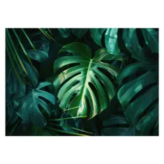 【B4サイズ(約25x36cm)】【lh-poster-4297】モンステラポスター トロピカル 熱帯植物 ハワイアン ボルシギアナ デリシオーサ アダンソニー 葉っぱ グリーン 植物 南国 インテリア アート