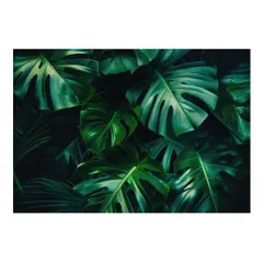 【B4サイズ(約25x36cm)】【lh-poster-4299】モンステラポスター トロピカル 熱帯植物 ハワイアン ボルシギアナ デリシオーサ アダンソニー 葉っぱ グリーン 植物 南国 インテリア アート