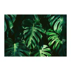 【B4サイズ(約25x36cm)】【lh-poster-4301】モンステラポスター トロピカル 熱帯植物 ハワイアン ボルシギアナ デリシオーサ アダンソニー 葉っぱ グリーン 植物 南国 インテリア アート