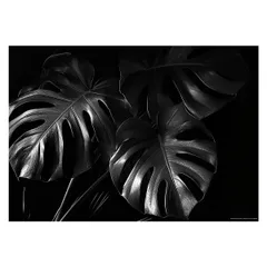 【B4サイズ(約25x36cm)】【lh-poster-4305】モンステラポスター トロピカル 熱帯植物 ハワイアン ボルシギアナ デリシオーサ アダンソニー 葉っぱ グリーン 植物 南国 インテリア アート