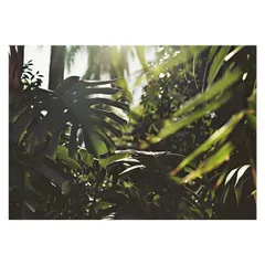 【B4サイズ(約25x36cm)】【lh-poster-4435】モンステラポスター トロピカル 熱帯植物 ハワイアン ボルシギアナ デリシオーサ アダンソニー 葉っぱ グリーン 植物 南国 インテリア アート