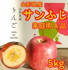 リンゴ　5kg⑬　山形県産サンふじ　家庭用　産地直送　ギフト　子供のおやつにも