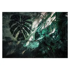 【B3サイズ（約36x51cm）】【lh-poster-4494】モンステラポスター トロピカル 熱帯植物 ハワイアン ボルシギアナ デリシオーサ アダンソニー 葉っぱ グリーン 植物 南国 インテリア アート