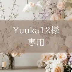 【Yuuka12様専用】A7 クリアバインダー幅広（シルバー・ライトブルー）