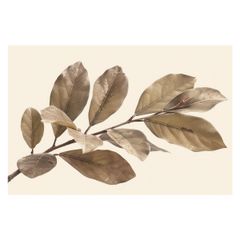 【A1サイズ（約59x84cm）】【lh-poster-4612】植物 グリーン 葉っぱ 観葉 ポスター ボタニカル 草 自然 インテリア  アート