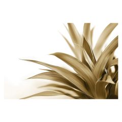 【B1サイズ（約73x103cm）】【lh-poster-4613】植物 グリーン 葉っぱ 観葉 ポスター ボタニカル 草 自然 インテリア  アート