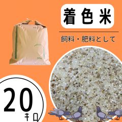 Item thumbnail for item 5bf61b2d-922a-445d-8ca4-daa2d698fdf8