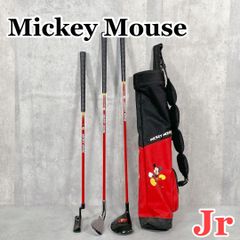 V312 クリーブランド VAS792 アイアンセット 10本 メンズ ゴルフ