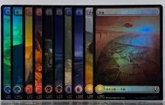 2026年最新】mtg 基本土地 foilの人気アイテム - メルカリ