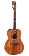 2026年最新】takamine 5の人気アイテム - メルカリ