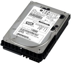 i*i様 何*様 シリコンパワー DDR5 32GB (2x16GB) Zeni i*i様 何*様 シリコンパワー DDR5 32GB (2x16GB) Zeni - メルカリ