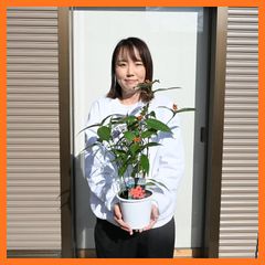 Item thumbnail for item daf2019b-0b5f-4b14-8a47-2d71bd1877df