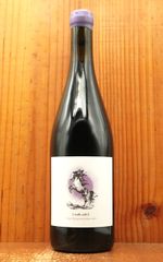 イタリア エミリアロマーニャ州 AIRAVATA 赤ワイン13.5% | Mercari