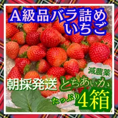 A級品 とちあいか いちご 25パック分 三田村様