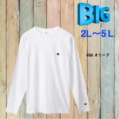 種類4:[4]ホワイト/5l ビッグサイズ チャンピオン champion ワンポイント 長袖Tシャツ  (2L)(3L)(4L)(5L)  C3-P401L