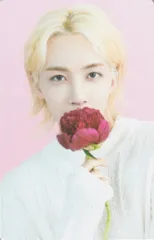 SEVENTEEN 2023 SEVENTEEN CAFE in SEOUL JEONGHAN トレーディングカード 7