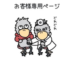 お客様専用ページ🐦』 - メルカリ