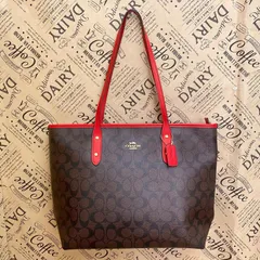 コーチ トート ショルダーバッグ A4 ビジネス シグネチャー FZ143