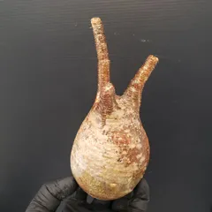 2025年最新】グラキリス 現地球の人気アイテム - メルカリ