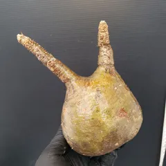 2025年最新】グラキリス ベアルートの人気アイテム - メルカリ