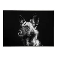 【B4サイズ(約25x36cm)】【lh-poster-7176】African wild dog アフリカンワイルドドック リカオン コヨーテ 犬 ハイエナ サバンナ アフリカ 草原 自然 ネイチャー アニマル 野生動物 インテリア ポスター