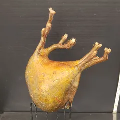 最終値下げ特価❗本日まで❗早いもの勝ち❗パキポディウム　グラキリス現地球　大株 2025年最新】グラキリス 現地球の人気アイテム - メルカリ