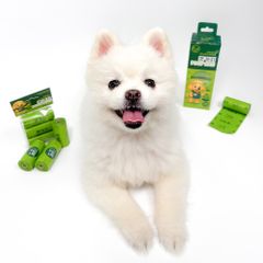 Item thumbnail for item 85218acf-62b2-4089-94c5-f33c66afc272