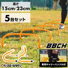 Item thumbnail for item 69d0eeed-0fc1-4edb-9779-a1908270eaa4