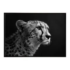 【B4サイズ（約25x36cm）】【lh-poster-6335】Cheetah チーター サバンナ アフリカ 草原 自然 ネイチャー 動物 アニマル 野生動物 写真 猫ポスター インテリア フォト 