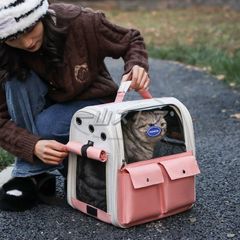 Item thumbnail for item c70cbae2-c8ce-4af1-b0d8-4a23b9e6f1ac