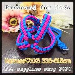 Item thumbnail for item 0bc04409-1505-4d0d-8565-a461857de8bb