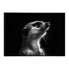 【A4サイズ（約21x30cm）】【lh-poster-6776】Meerkat ミーアキャット サバンナ アフリカ 草原 自然 ネイチャー 動物 アニマル 野生動物 インテリア フォト 