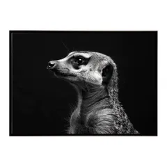 【B4サイズ（約25x36cm）】【lh-poster-6777】Meerkat ミーアキャット サバンナ アフリカ 草原 自然 ネイチャー 動物 アニマル 野生動物 インテリア フォト 