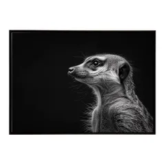 【B4サイズ（約25x36cm）】【lh-poster-6778】Meerkat ミーアキャット サバンナ アフリカ 草原 自然 ネイチャー 動物 アニマル 野生動物 インテリア フォト 