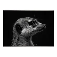 【A3サイズ（約30×42cm）】【lh-poster-6780】Meerkat ミーアキャット サバンナ アフリカ 草原 自然 ネイチャー 動物 アニマル 野生動物 インテリア フォト 