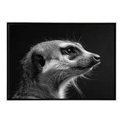 【A4サイズ（約21x30cm）】【lh-poster-6781】Meerkat ミーアキャット サバンナ アフリカ 草原 自然 ネイチャー 動物 アニマル 野生動物 インテリア フォト 