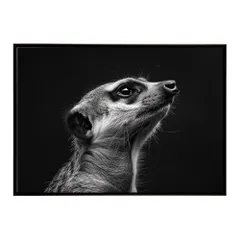 【A4サイズ（約21x30cm）】【lh-poster-6782】Meerkat ミーアキャット サバンナ アフリカ 草原 自然 ネイチャー 動物 アニマル 野生動物 インテリア フォト 