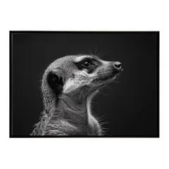 【A4サイズ（約21x30cm）】【lh-poster-6783】Meerkat ミーアキャット サバンナ アフリカ 草原 自然 ネイチャー 動物 アニマル 野生動物 インテリア フォト 