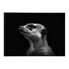 【A4サイズ（約21x30cm）】【lh-poster-6784】Meerkat ミーアキャット サバンナ アフリカ 草原 自然 ネイチャー 動物 アニマル 野生動物 インテリア フォト 