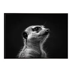 【B3サイズ（約36x51cm）】【lh-poster-6785】Meerkat ミーアキャット サバンナ アフリカ 草原 自然 ネイチャー 動物 アニマル 野生動物 インテリア フォト 