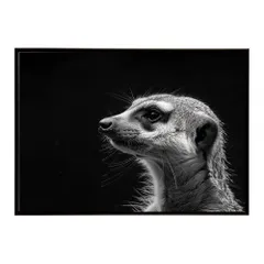 【A4サイズ（約21x30cm）】【lh-poster-6786】Meerkat ミーアキャット サバンナ アフリカ 草原 自然 ネイチャー 動物 アニマル 野生動物 インテリア フォト 