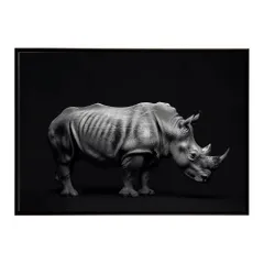 【B4サイズ（約25x36cm）】【lh-poster-6855】Rhinoceros サイ リノ サバンナ アフリカ 草原 自然 ネイチャー 動物 アニマル 野生動物 インテリア フォト 