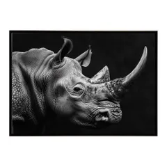 【B4サイズ（約25x36cm）】【lh-poster-6869】Rhinoceros サイ リノ サバンナ アフリカ 草原 自然 ネイチャー 動物 アニマル 野生動物 インテリア フォト 