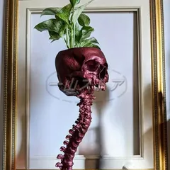 2025年最新】スカル 植木鉢の人気アイテム - メルカリ