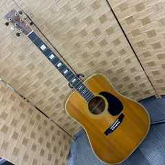 ☆Cat’s Eyes キャッツアイ☆アコースティックギター アコギ TCE-35