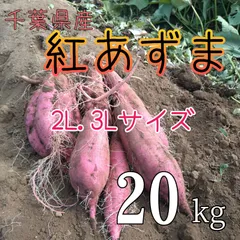 2025年最新】さつまいも 紅はるか 20kgの人気アイテム - メルカリ