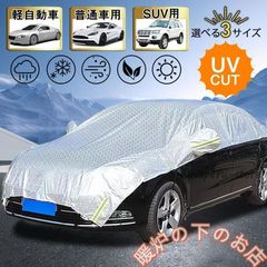 Item thumbnail for item 5248fbd9-de42-4808-9881-c4a1669342b8